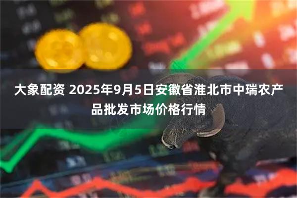 大象配资 2025年9月5日安徽省淮北市中瑞农产品批发市场价格行情