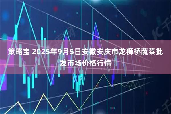 策略宝 2025年9月5日安徽安庆市龙狮桥蔬菜批发市场价格行情
