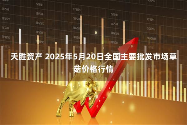 天胜资产 2025年5月20日全国主要批发市场草菇价格行情