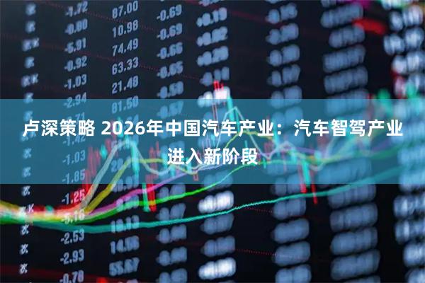 卢深策略 2026年中国汽车产业：汽车智驾产业进入新阶段