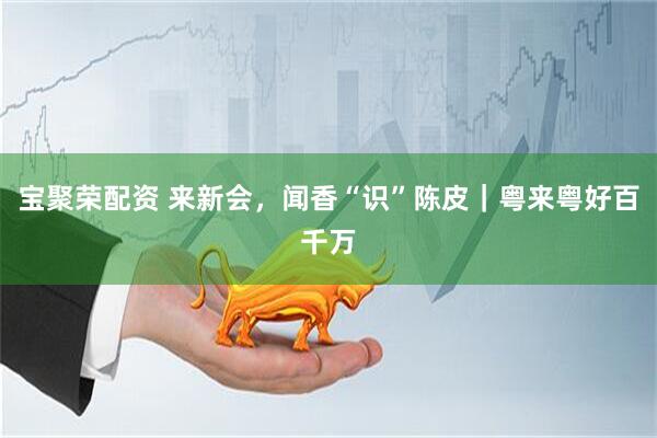 宝聚荣配资 来新会,闻香“识”陈皮|粤来粤好百千万